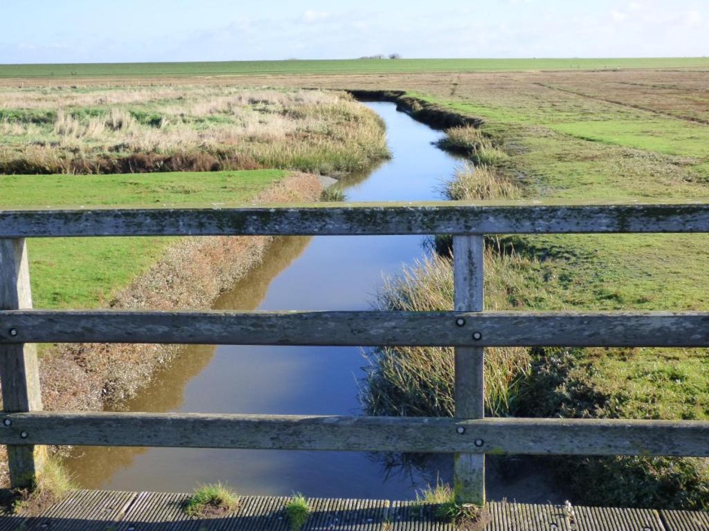 Wasserkoog 22 Tetenbull Exteriér fotografie